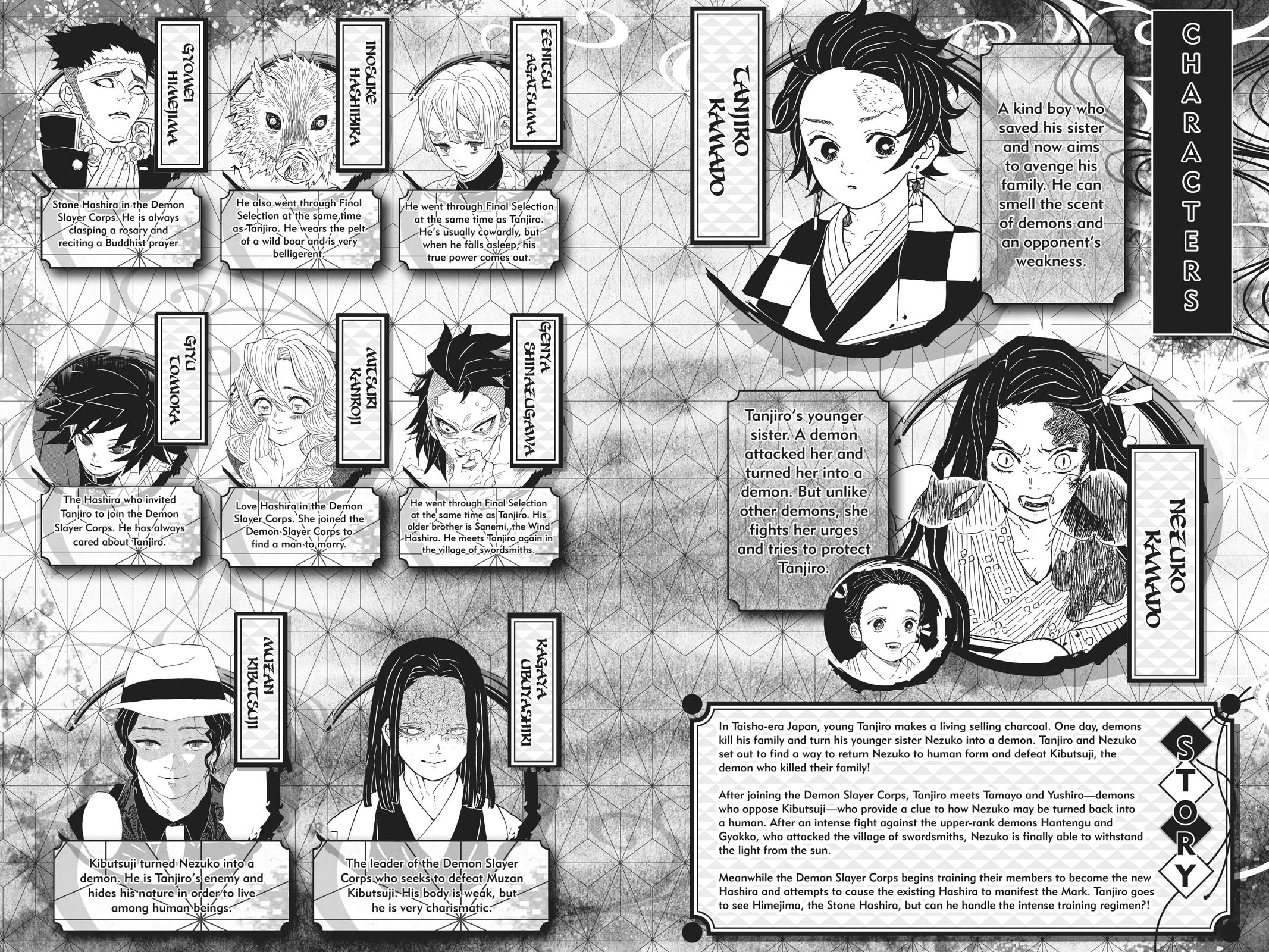 Demon Slayer: Kimetsu no Yaiba Chapter 134 Page 5