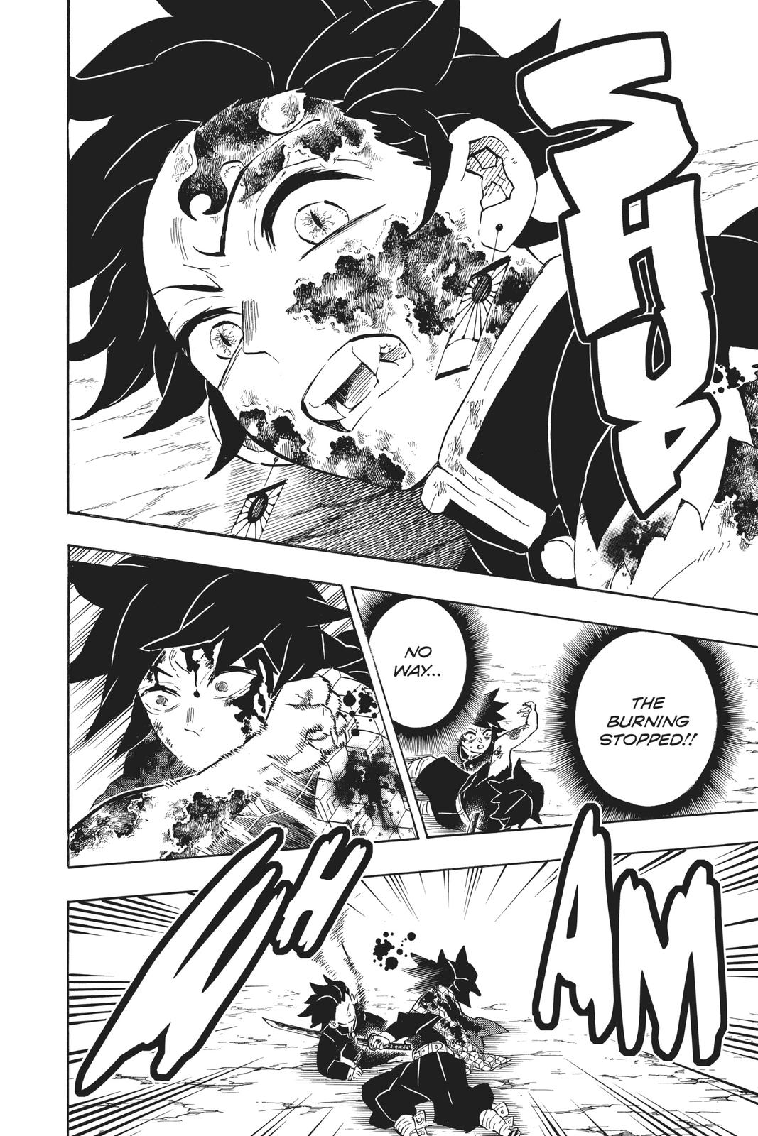 Demon Slayer: Kimetsu no Yaiba Chapter 201 Page 14