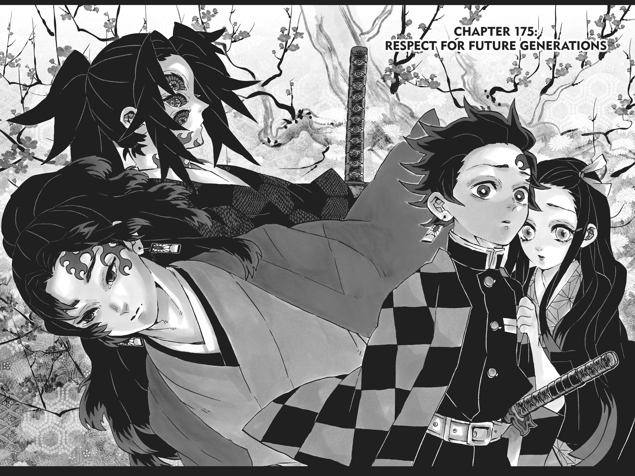 Demon Slayer: Kimetsu no Yaiba Chapter 175 Page 2