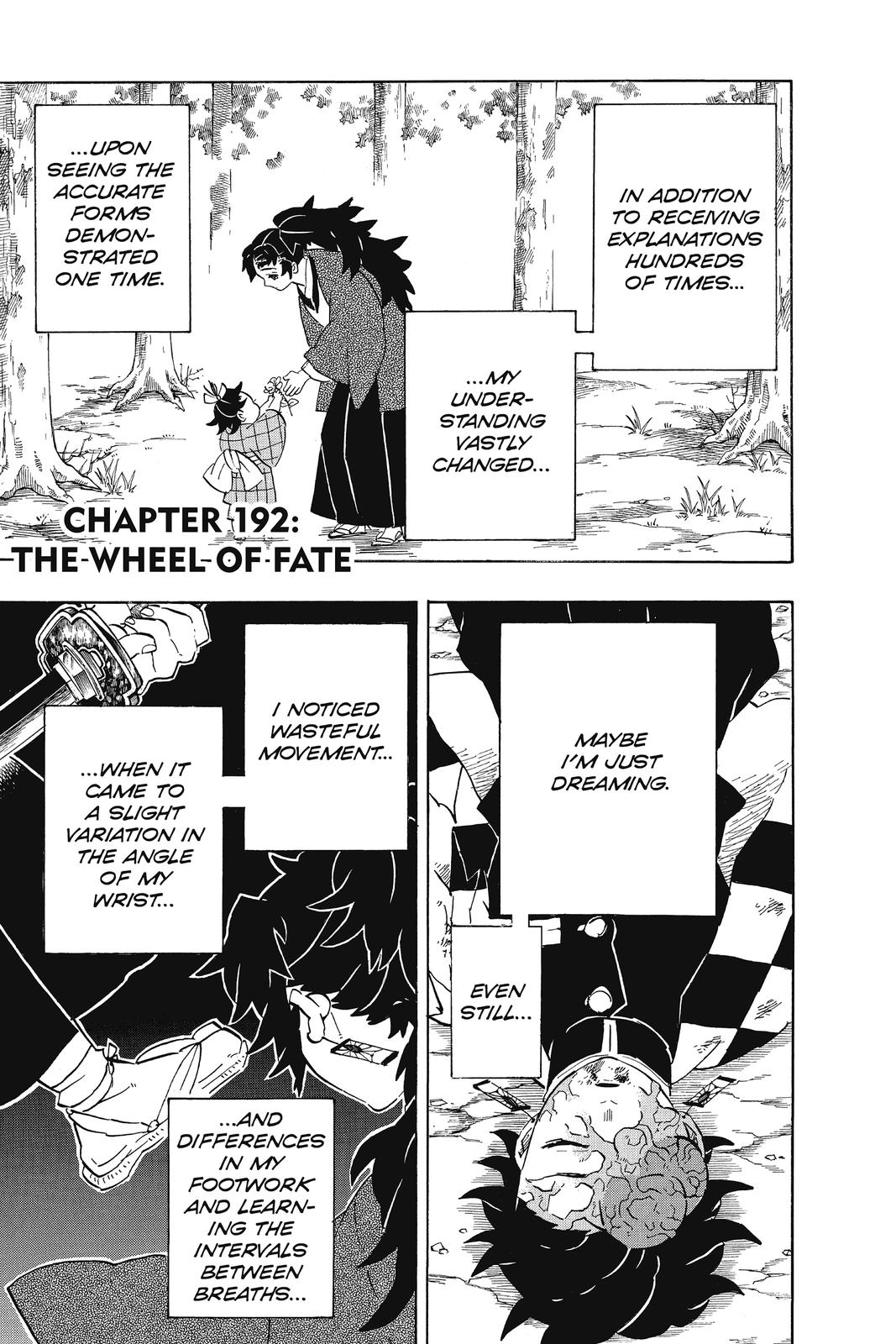 Demon Slayer: Kimetsu no Yaiba Chapter 192 Page 1