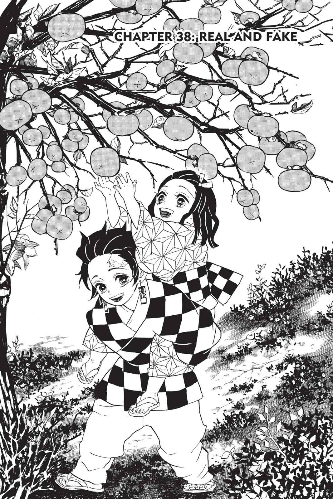Demon Slayer: Kimetsu no Yaiba Chapter 38 Page 1
