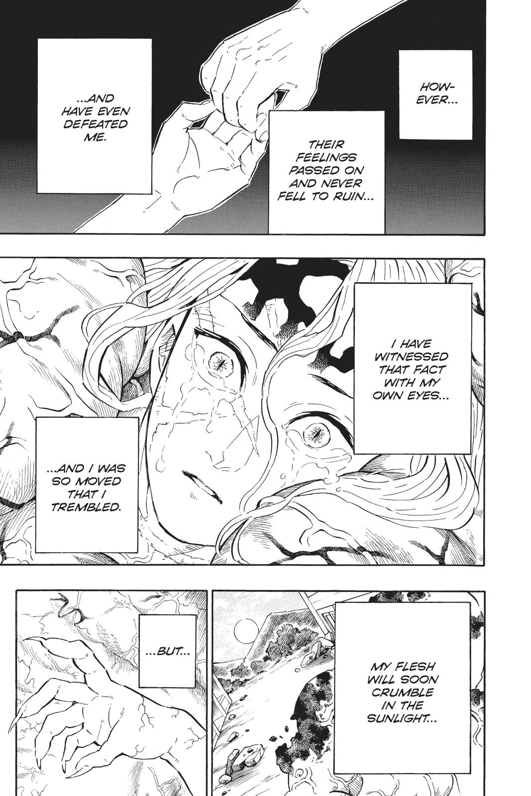 Demon Slayer: Kimetsu no Yaiba Chapter 201 Page 3