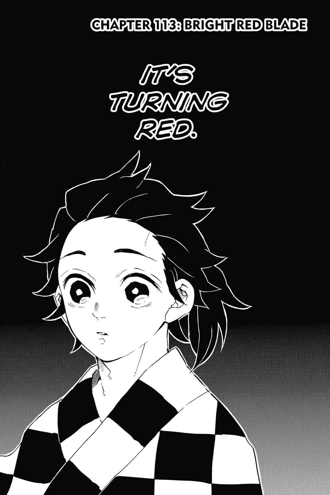 Demon Slayer: Kimetsu no Yaiba Chapter 113 Page 1