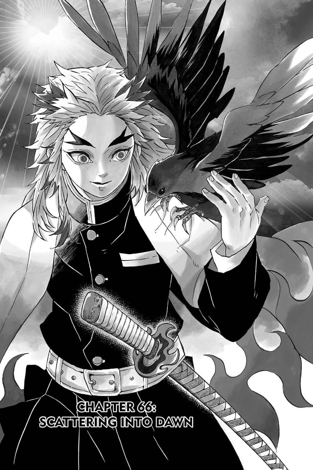 Demon Slayer: Kimetsu no Yaiba Chapter 66 Page 1