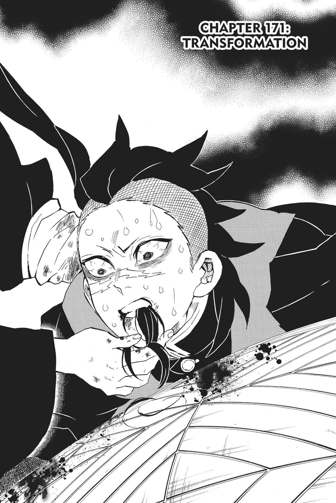 Demon Slayer: Kimetsu no Yaiba Chapter 171 Page 1