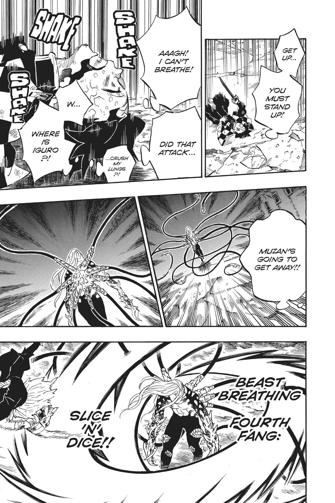 Demon Slayer: Kimetsu no Yaiba Chapter 197 Page 14