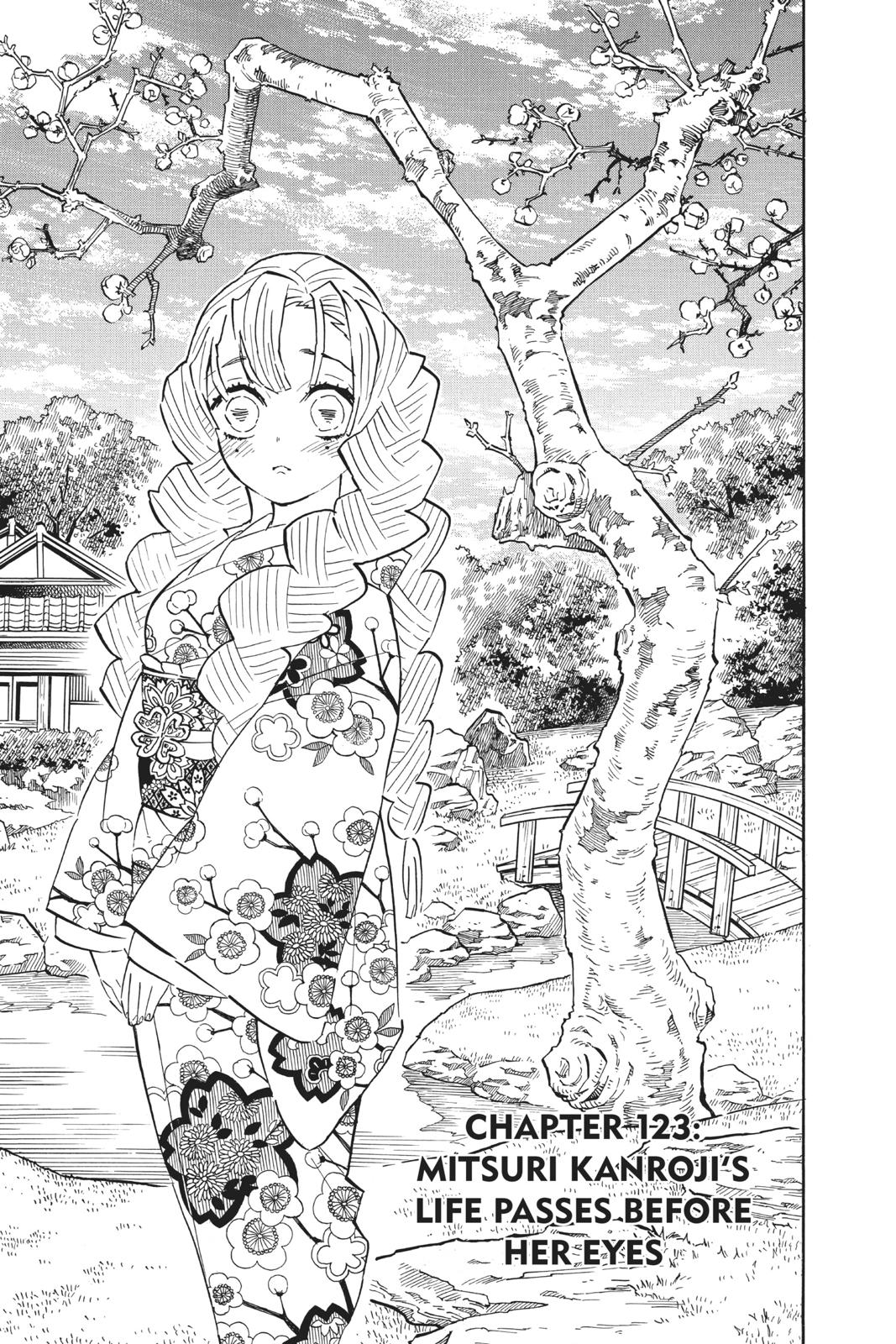 Demon Slayer: Kimetsu no Yaiba Chapter 123 Page 1