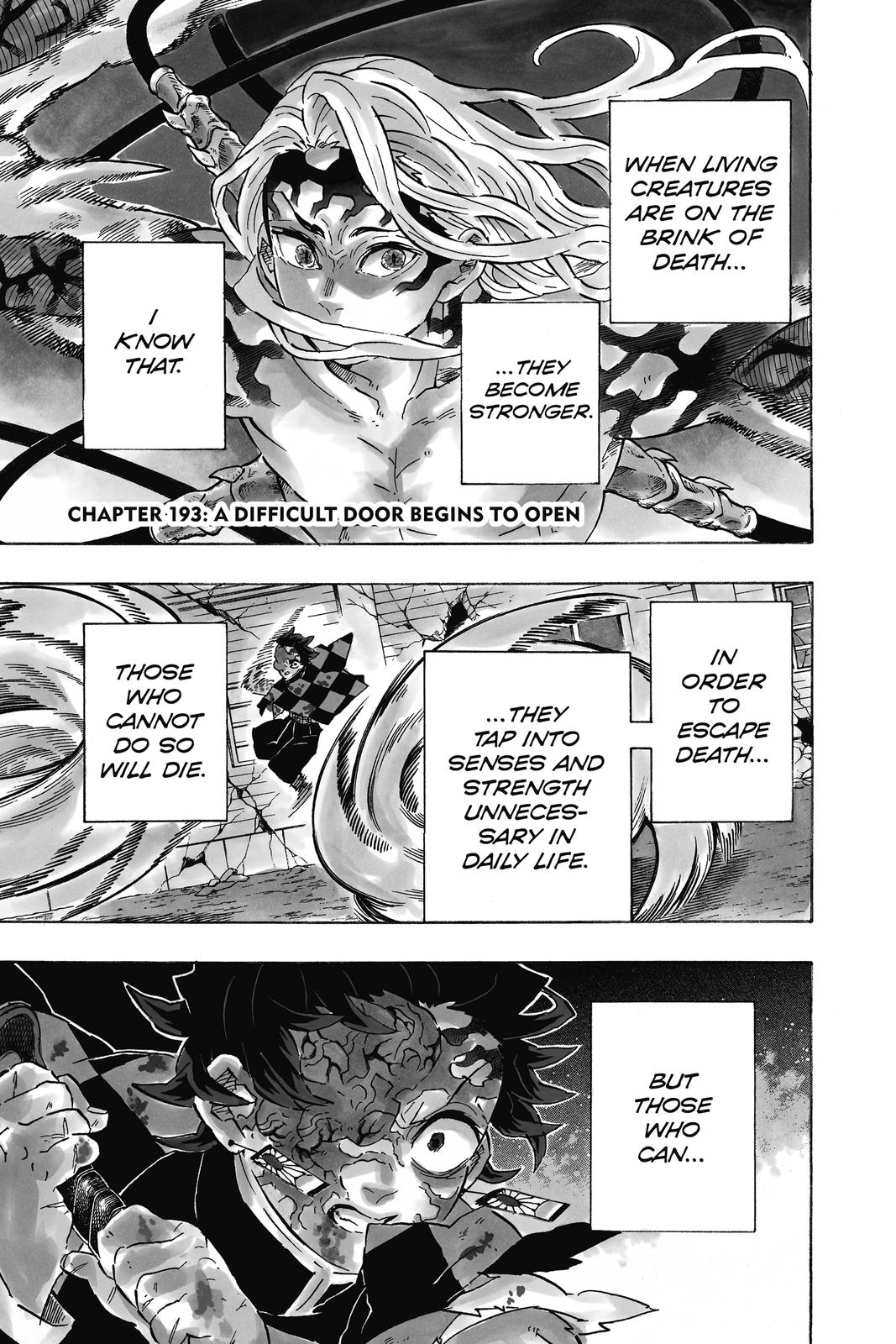 Demon Slayer: Kimetsu no Yaiba Chapter 193 Page 1