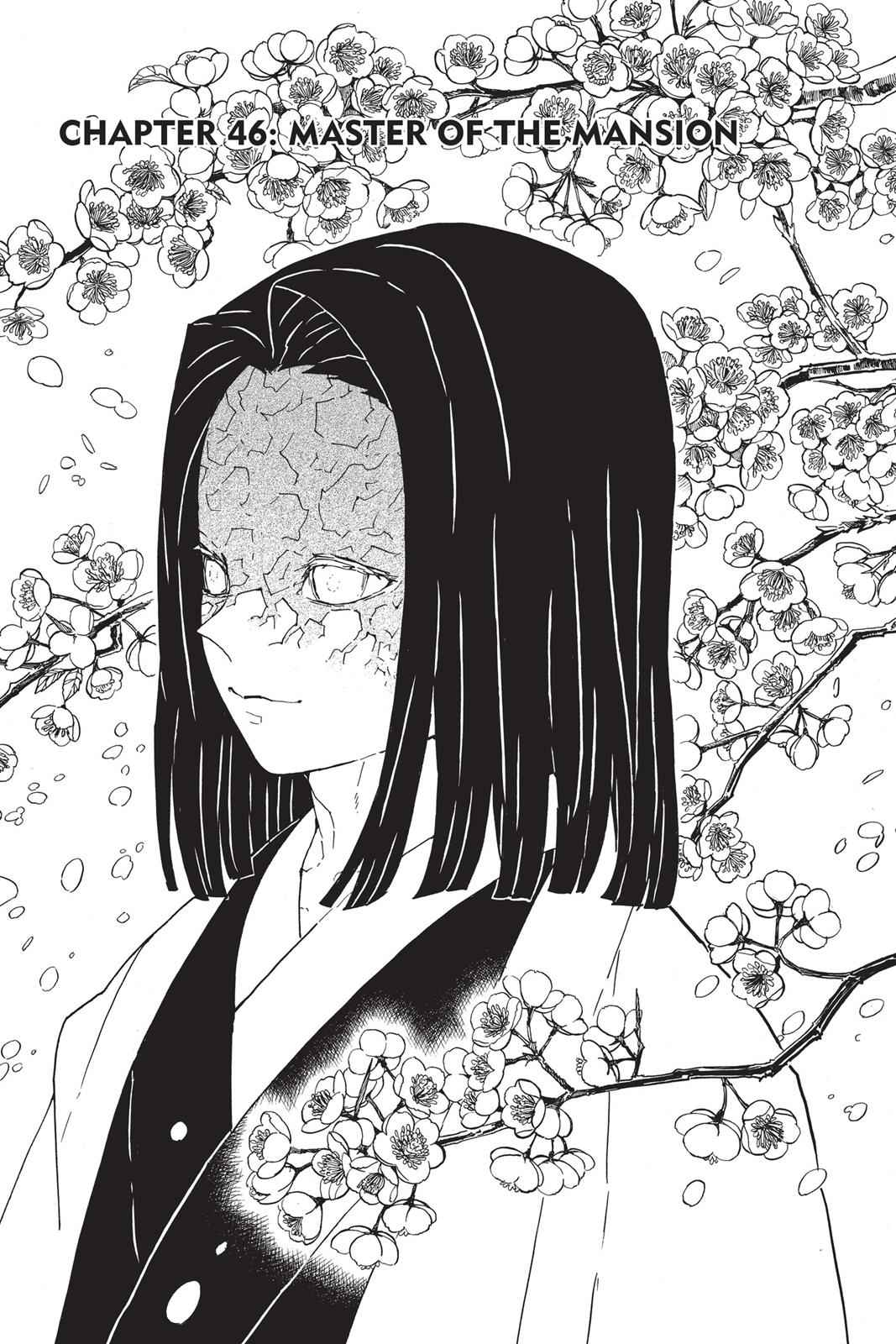 Demon Slayer: Kimetsu no Yaiba Chapter 46 Page 1