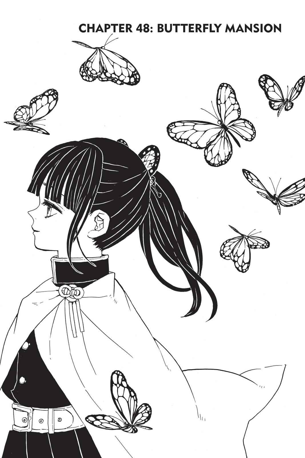 Demon Slayer: Kimetsu no Yaiba Chapter 48 Page 1