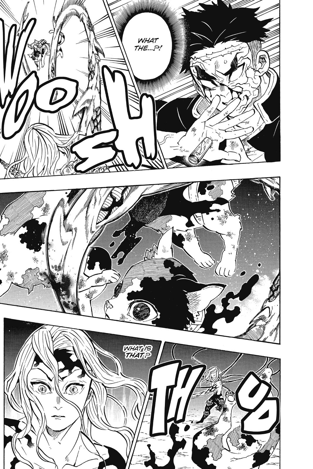 Demon Slayer: Kimetsu no Yaiba Chapter 189 Page 13