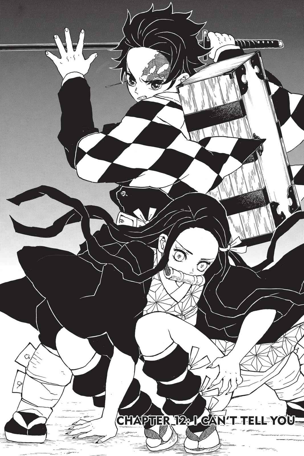 Demon Slayer: Kimetsu no Yaiba Chapter 12 Page 1