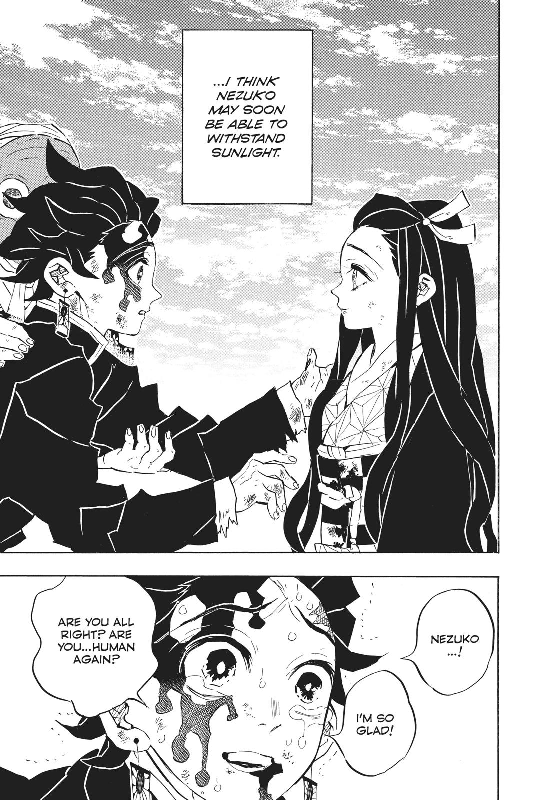 Demon Slayer: Kimetsu no Yaiba Chapter 127 Page 3