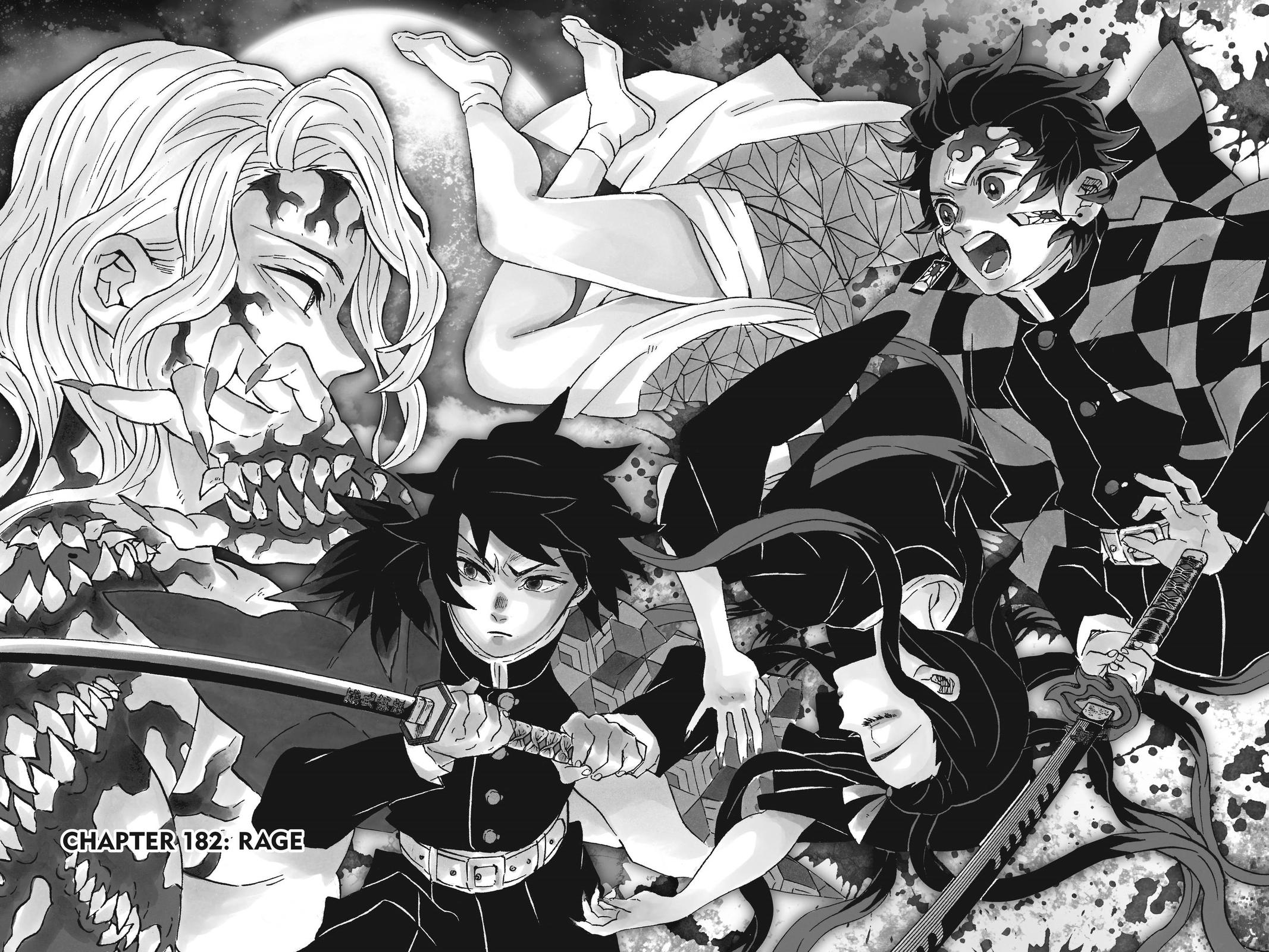 Demon Slayer: Kimetsu no Yaiba Chapter 182 Page 2