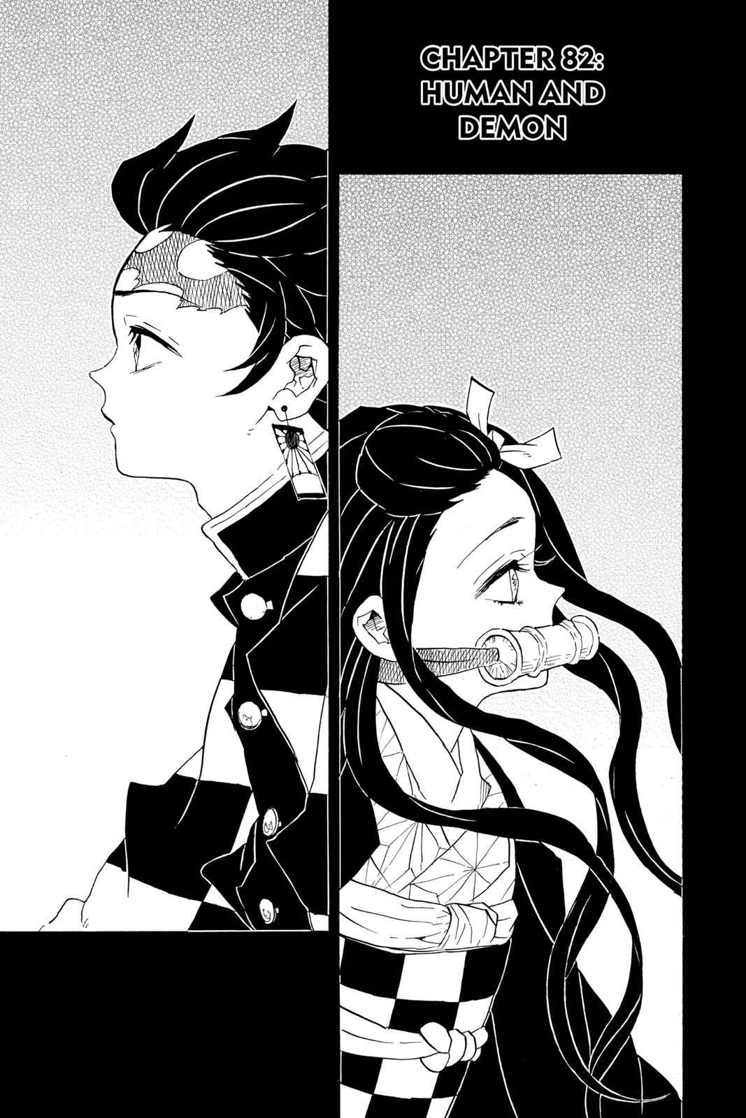 Demon Slayer: Kimetsu no Yaiba Chapter 82 Page 1
