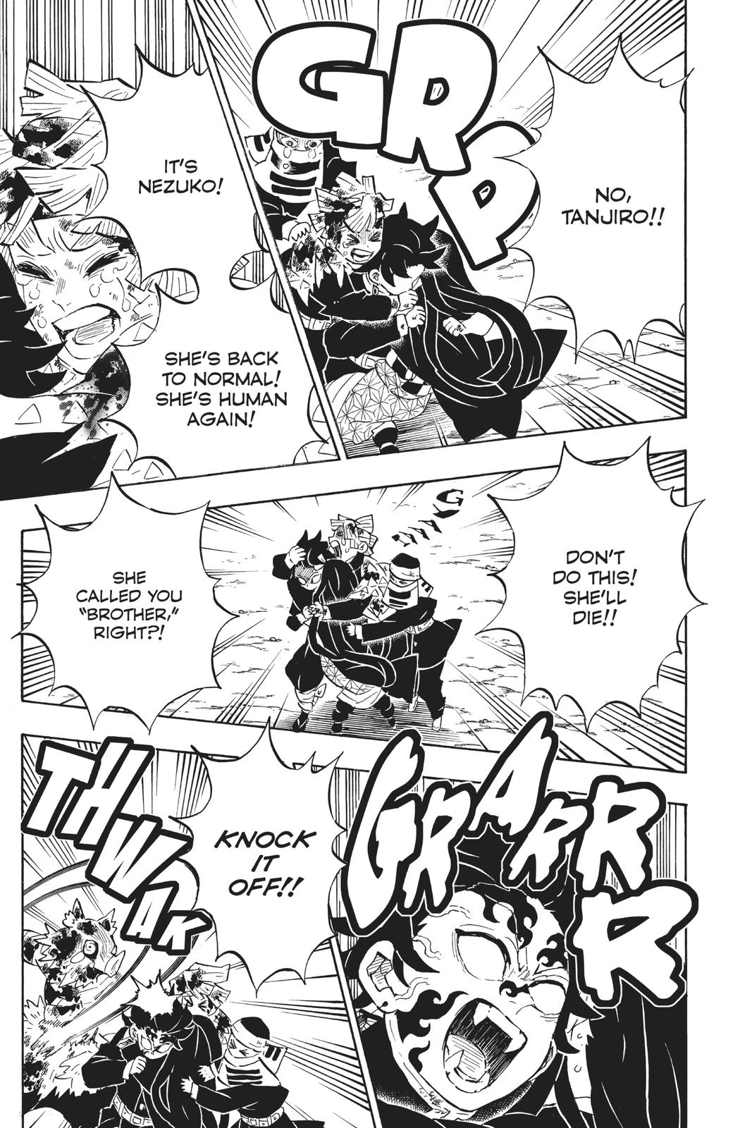 Demon Slayer: Kimetsu no Yaiba Chapter 202 Page 5