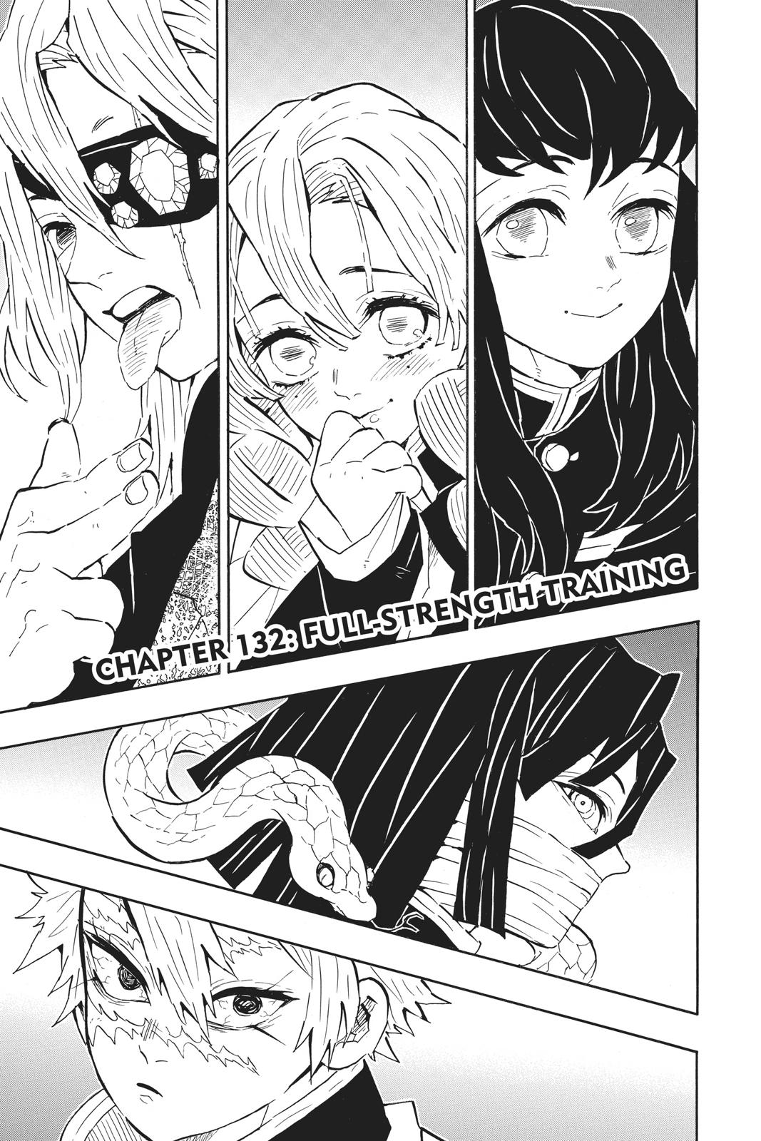 Demon Slayer: Kimetsu no Yaiba Chapter 132 Page 1