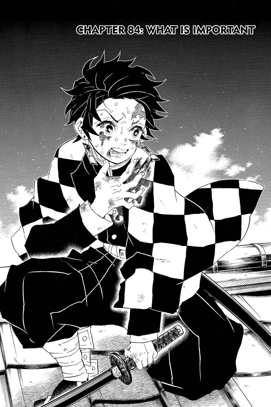 Demon Slayer: Kimetsu no Yaiba Chapter 84 Page 1