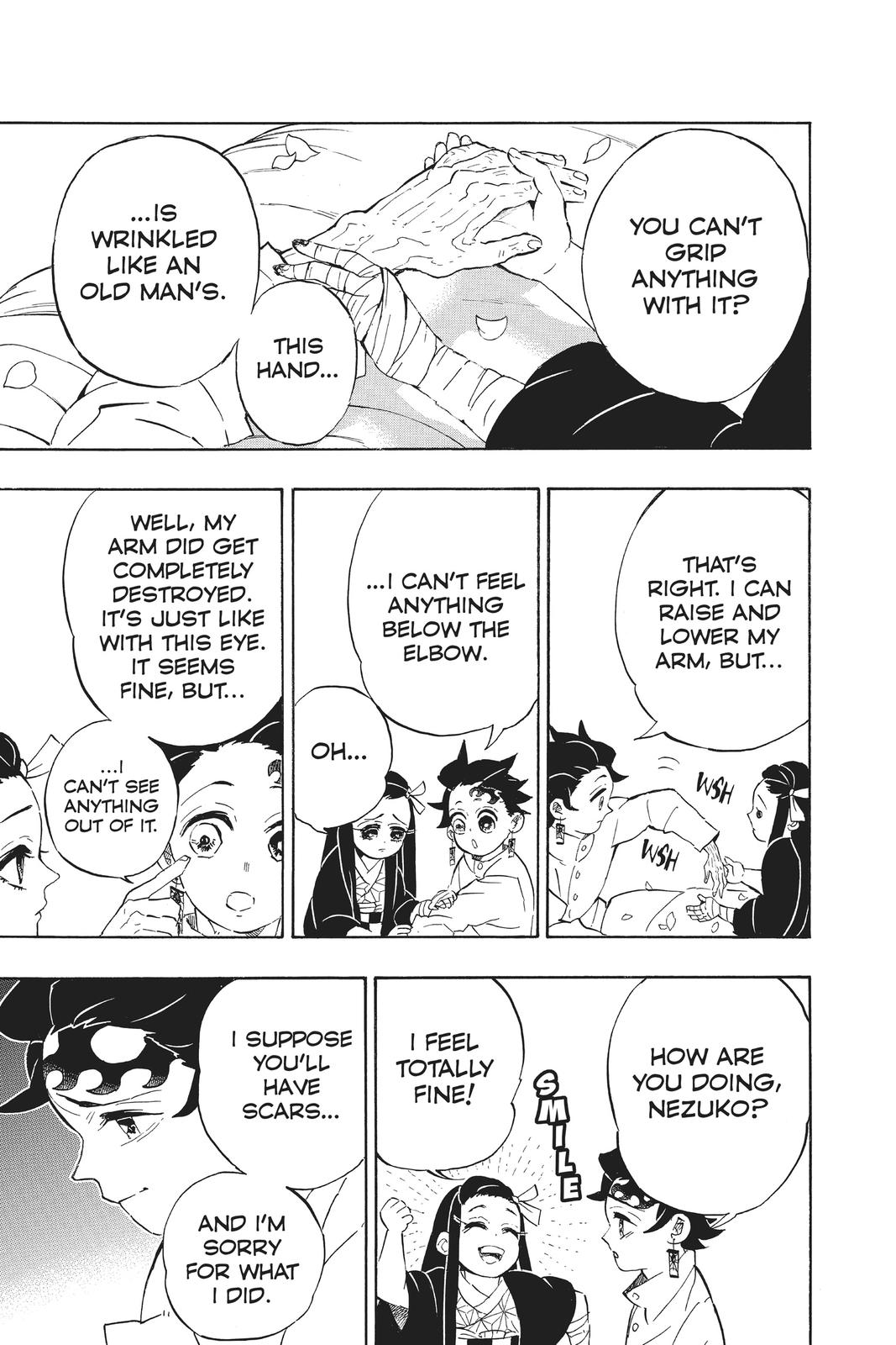 Demon Slayer: Kimetsu no Yaiba Chapter 204 Page 4