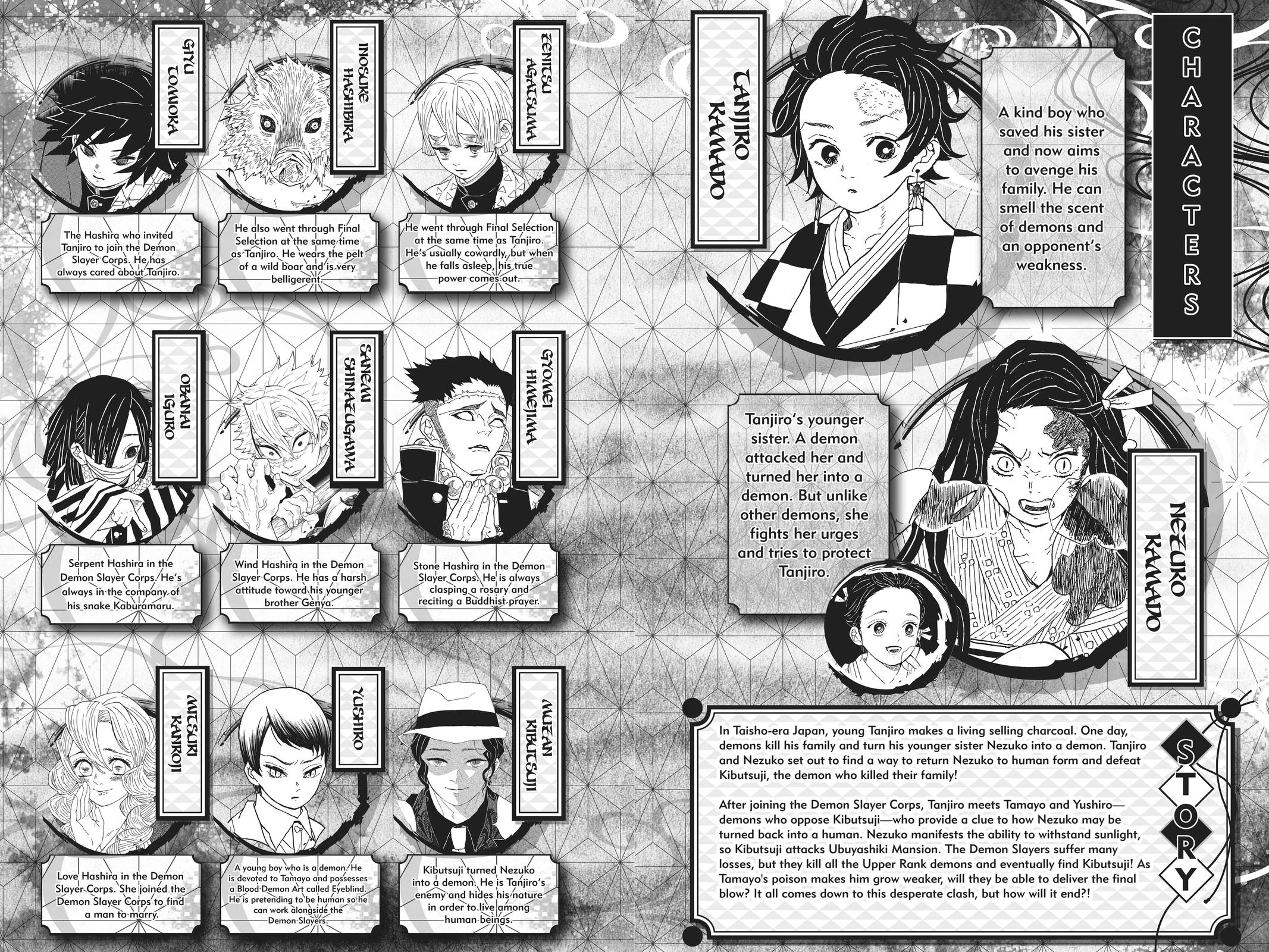 Demon Slayer: Kimetsu no Yaiba Chapter 197 Page 5