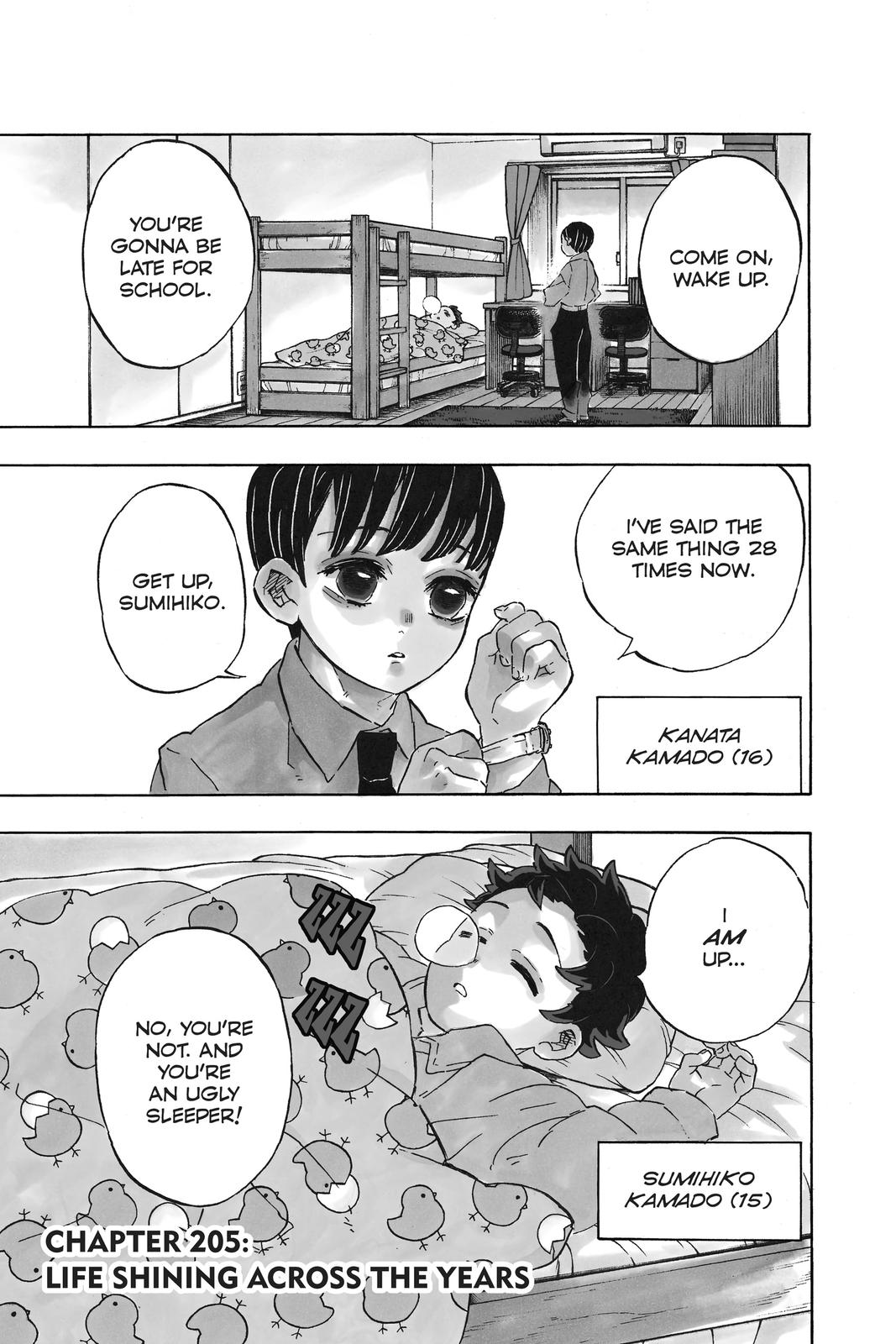 Demon Slayer: Kimetsu no Yaiba Chapter 205 Page 1
