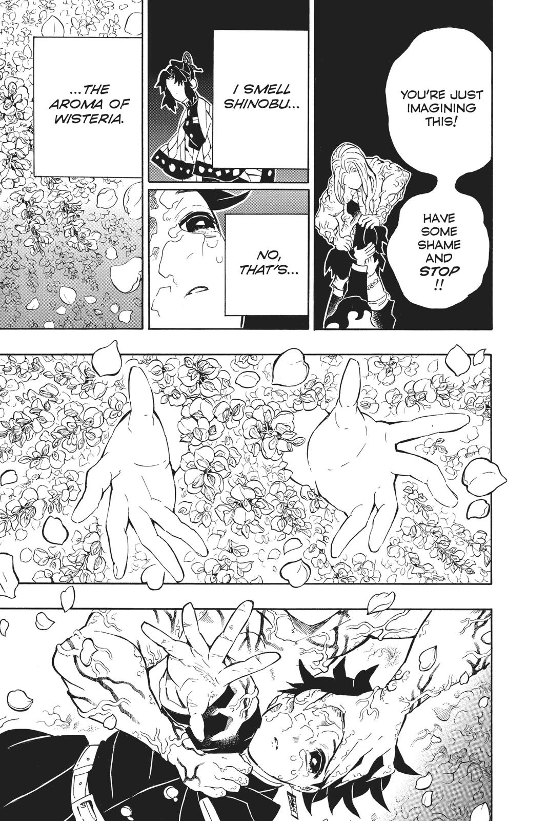 Demon Slayer: Kimetsu no Yaiba Chapter 203 Page 9