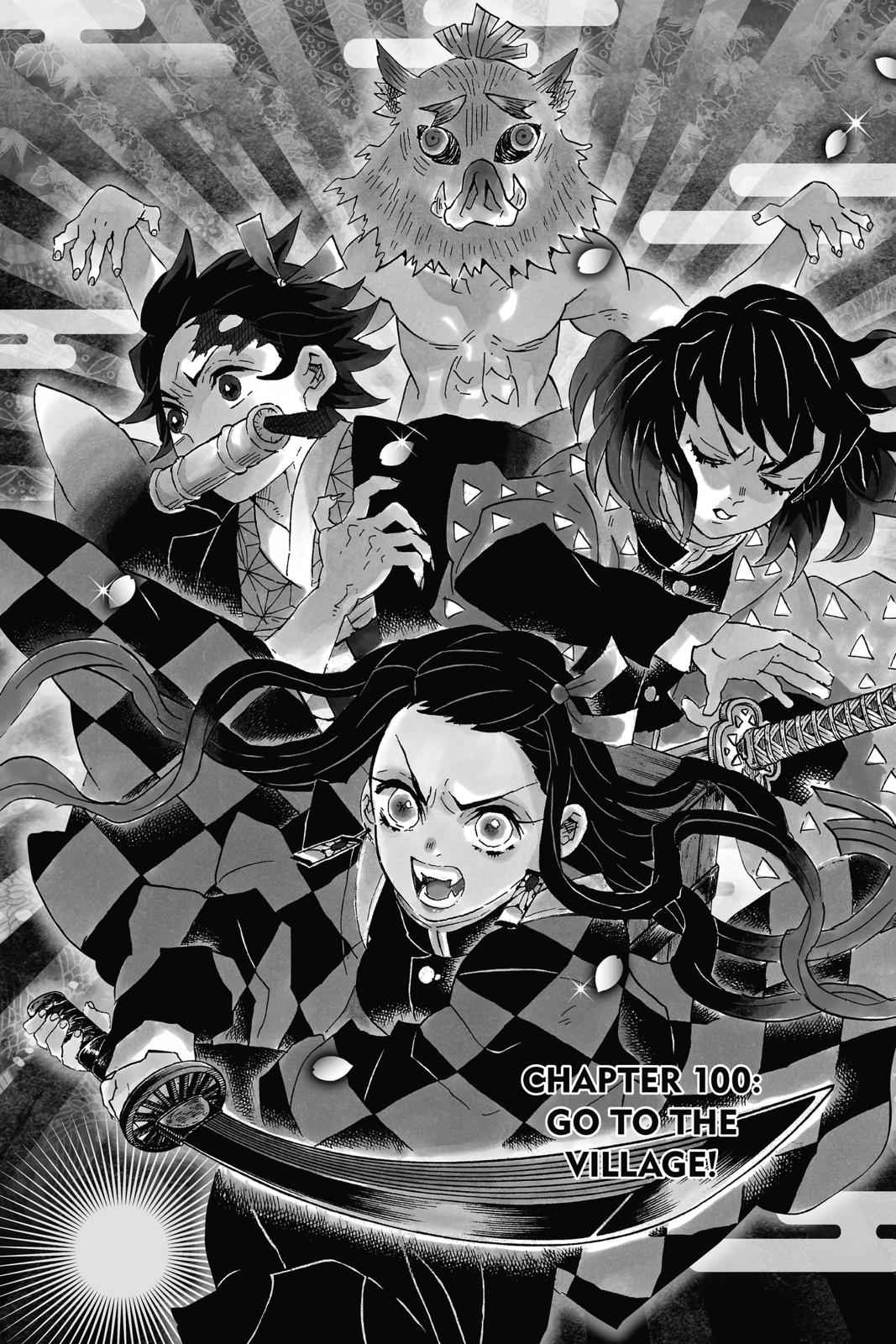 Demon Slayer: Kimetsu no Yaiba Chapter 100 Page 1