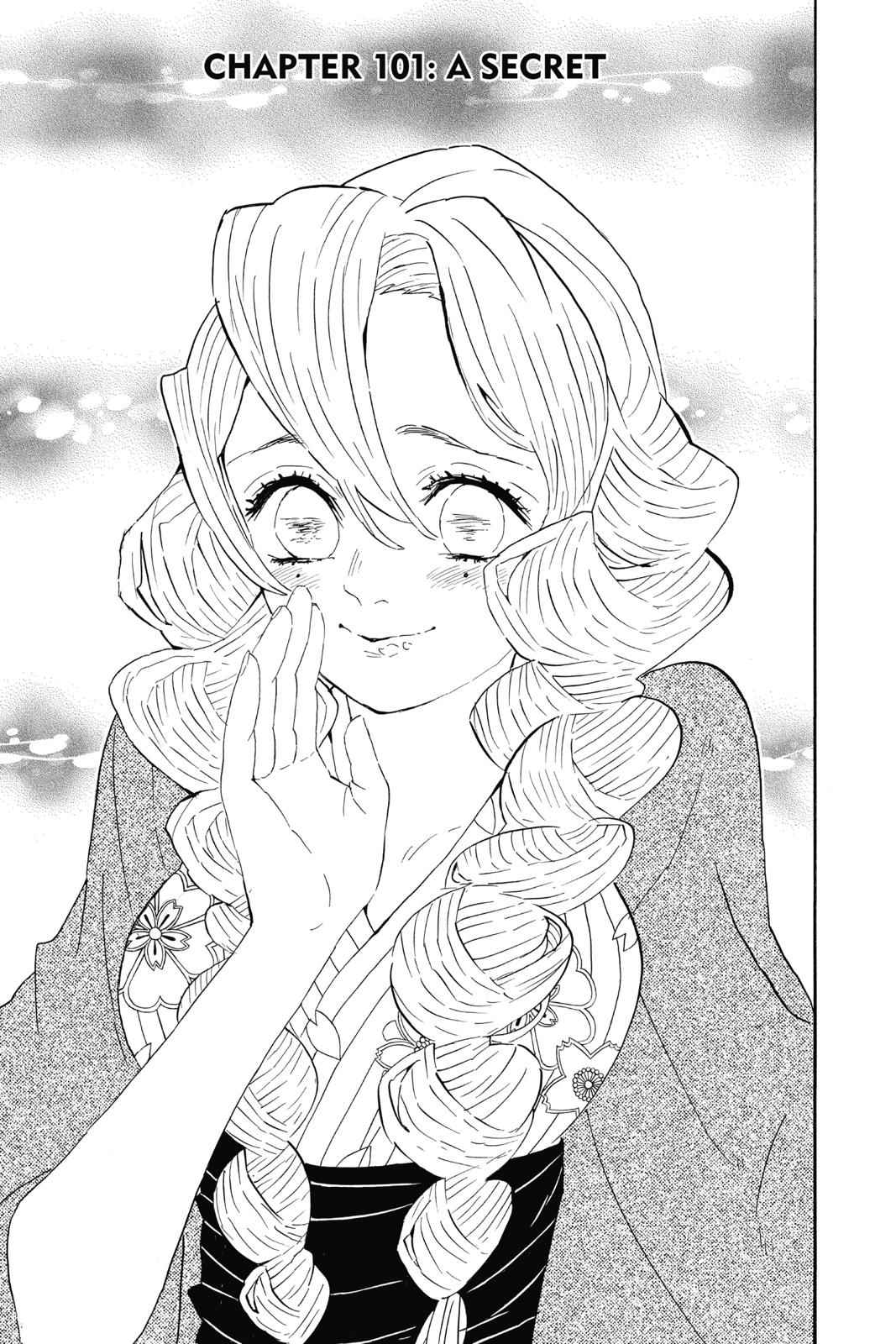 Demon Slayer: Kimetsu no Yaiba Chapter 101 Page 1