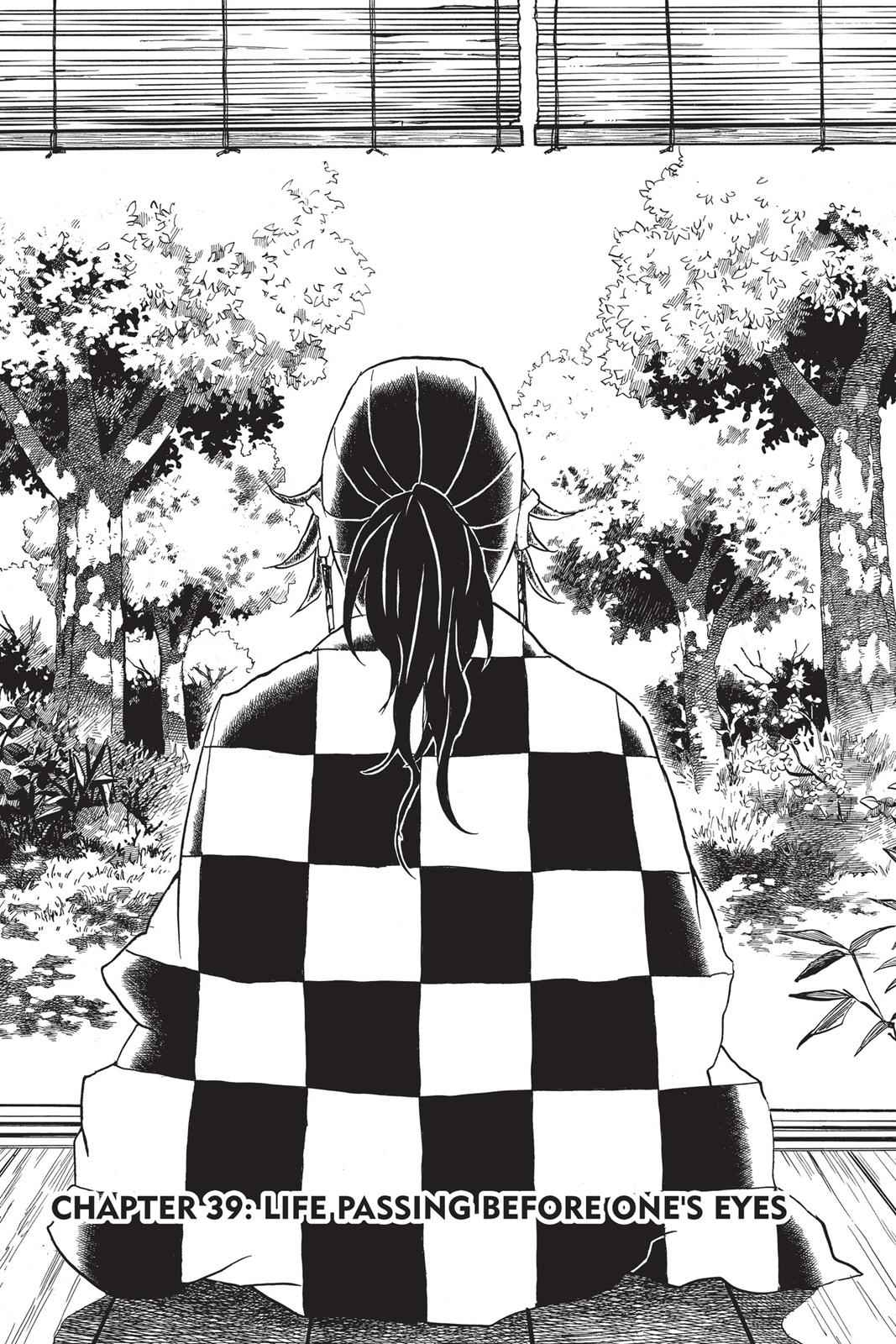 Demon Slayer: Kimetsu no Yaiba Chapter 39 Page 1