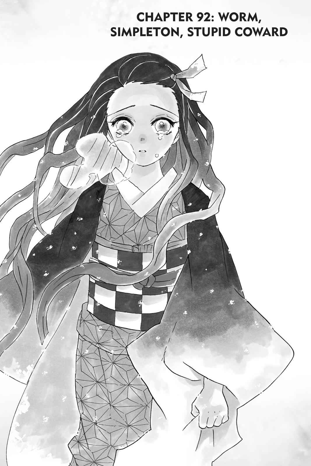 Demon Slayer: Kimetsu no Yaiba Chapter 92 Page 1
