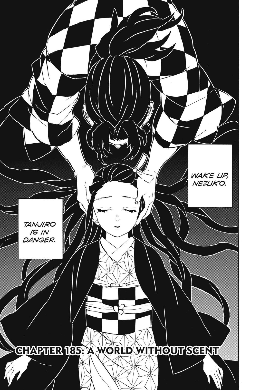Demon Slayer: Kimetsu no Yaiba Chapter 185 Page 1