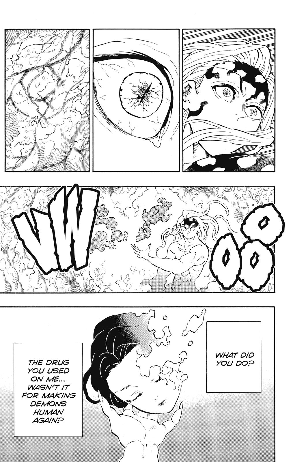 Demon Slayer: Kimetsu no Yaiba Chapter 193 Page 14