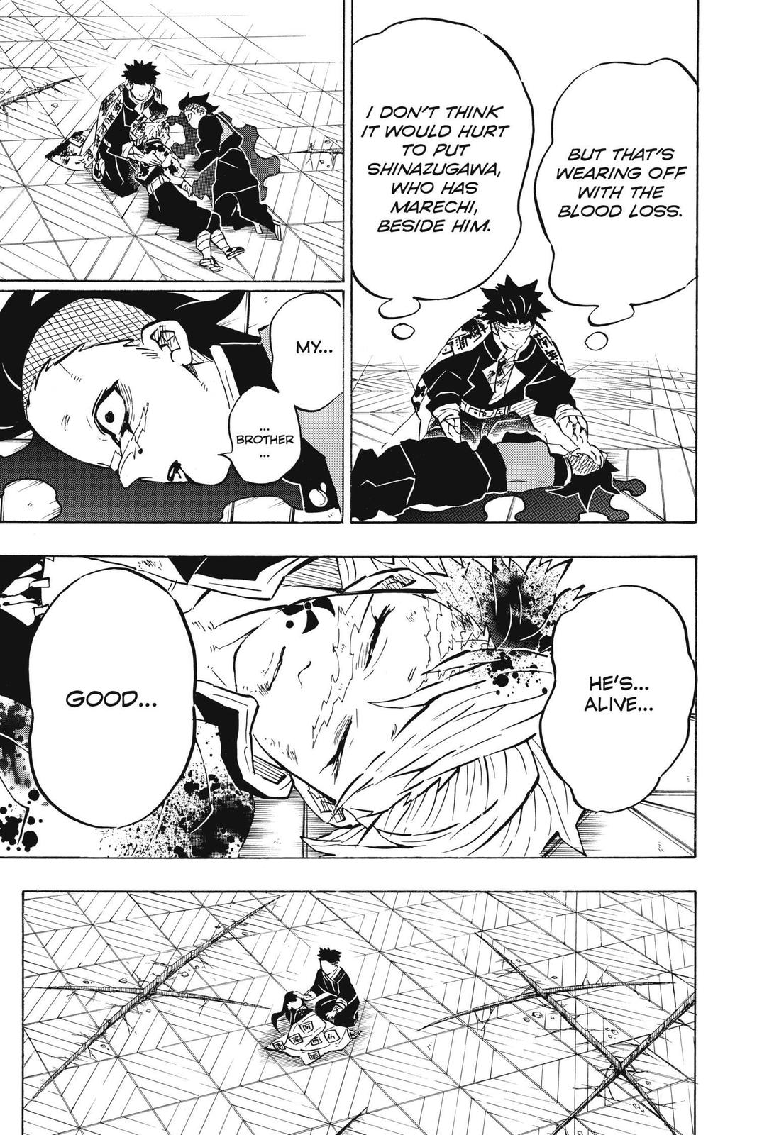 Demon Slayer: Kimetsu no Yaiba Chapter 179 Page 11