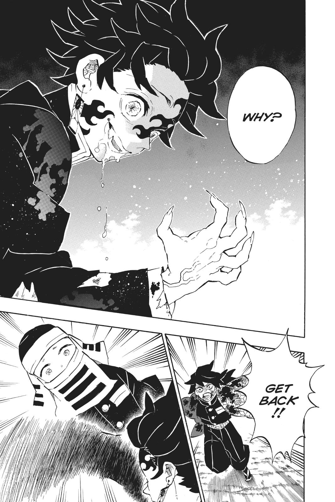 Demon Slayer: Kimetsu no Yaiba Chapter 201 Page 9