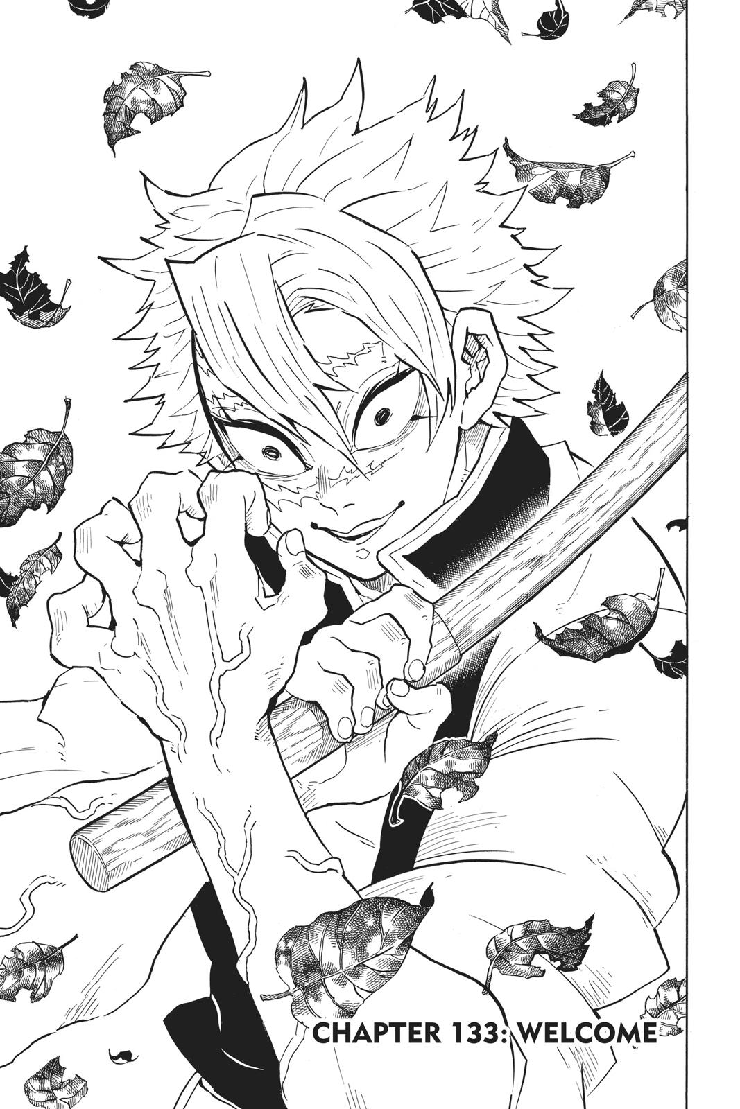 Demon Slayer: Kimetsu no Yaiba Chapter 133 Page 1