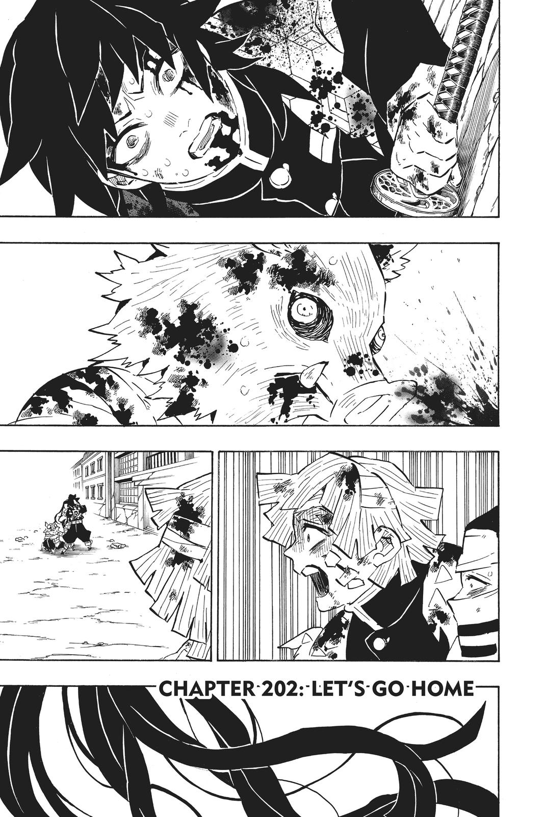 Demon Slayer: Kimetsu no Yaiba Chapter 202 Page 1
