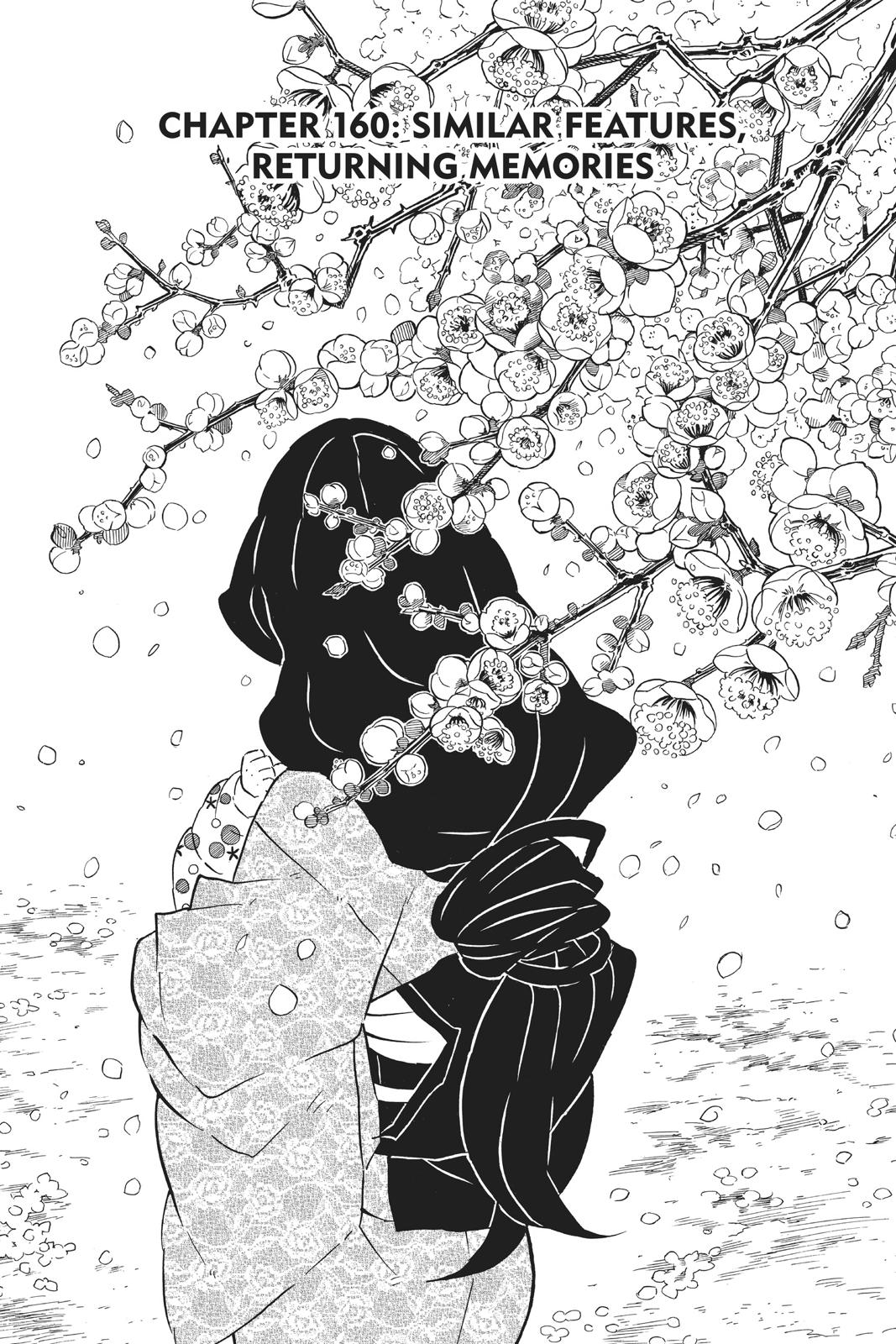 Demon Slayer: Kimetsu no Yaiba Chapter 160 Page 1