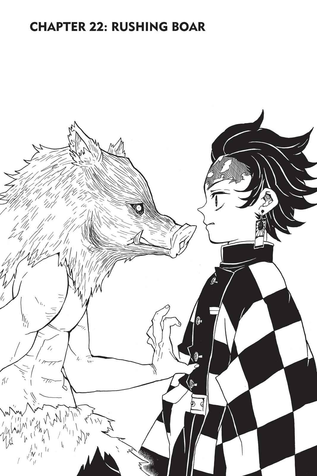 Demon Slayer: Kimetsu no Yaiba Chapter 22 Page 1