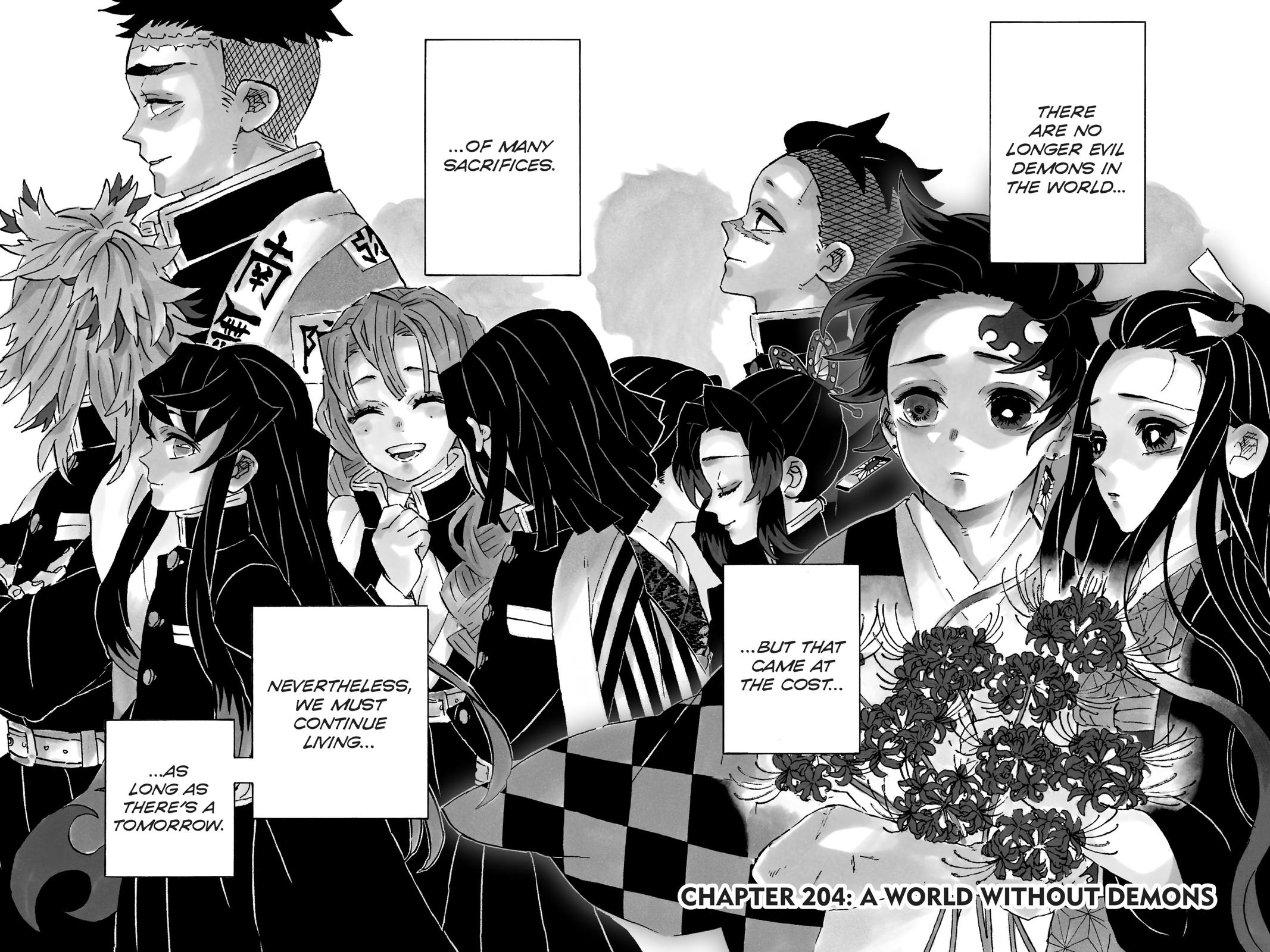 Demon Slayer: Kimetsu no Yaiba Chapter 204 Page 2
