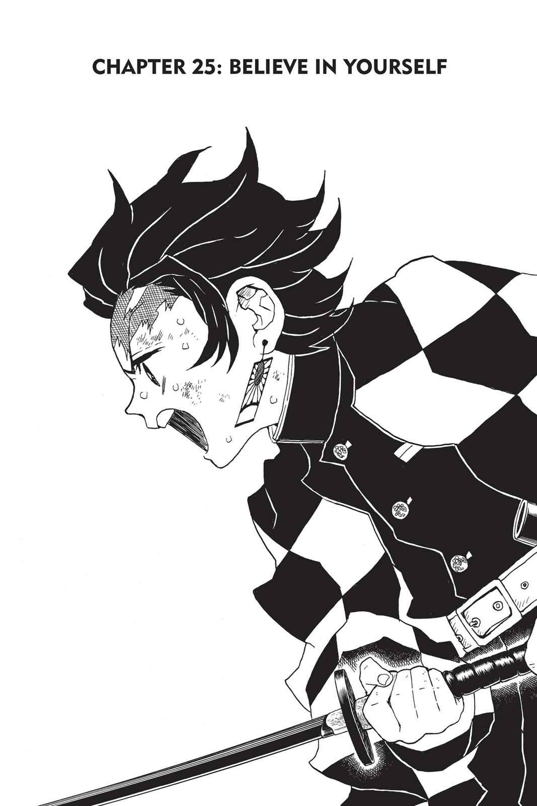 Demon Slayer: Kimetsu no Yaiba Chapter 25 Page 1