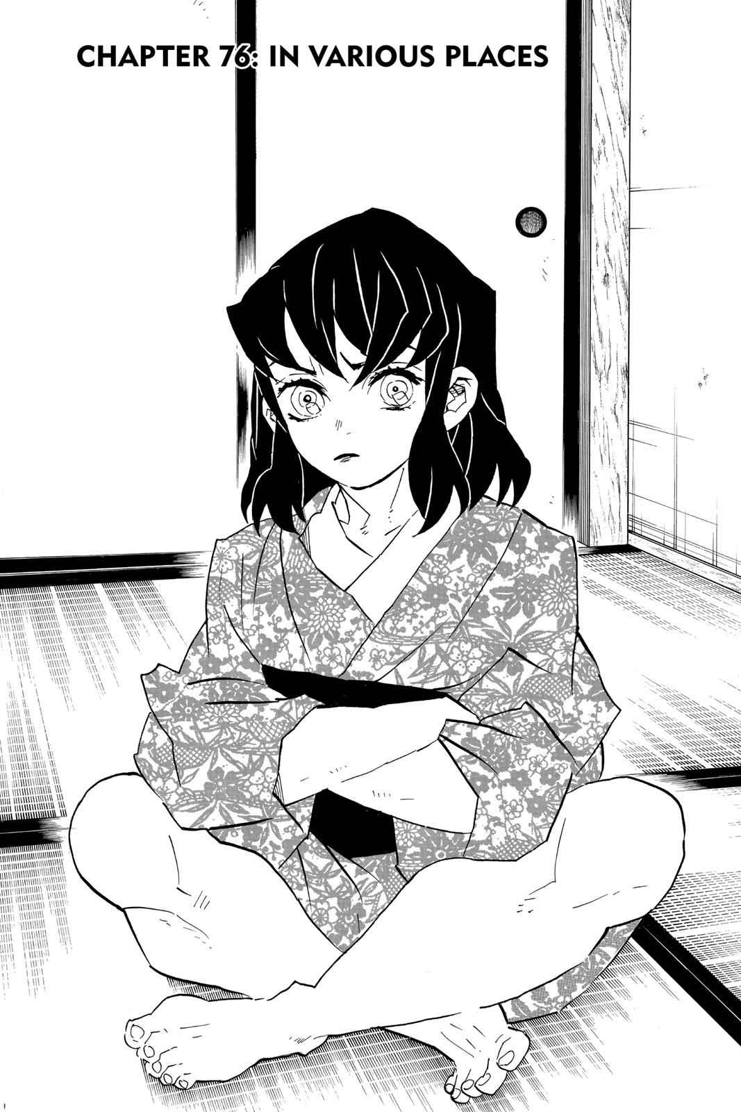 Demon Slayer: Kimetsu no Yaiba Chapter 76 Page 1