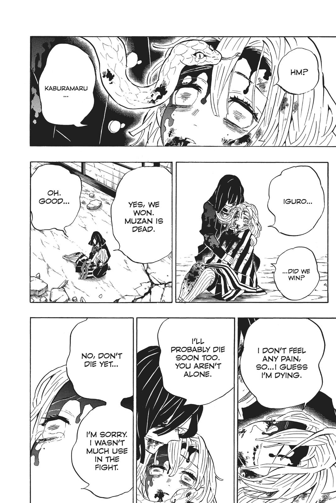 Demon Slayer: Kimetsu no Yaiba Chapter 200 Page 11