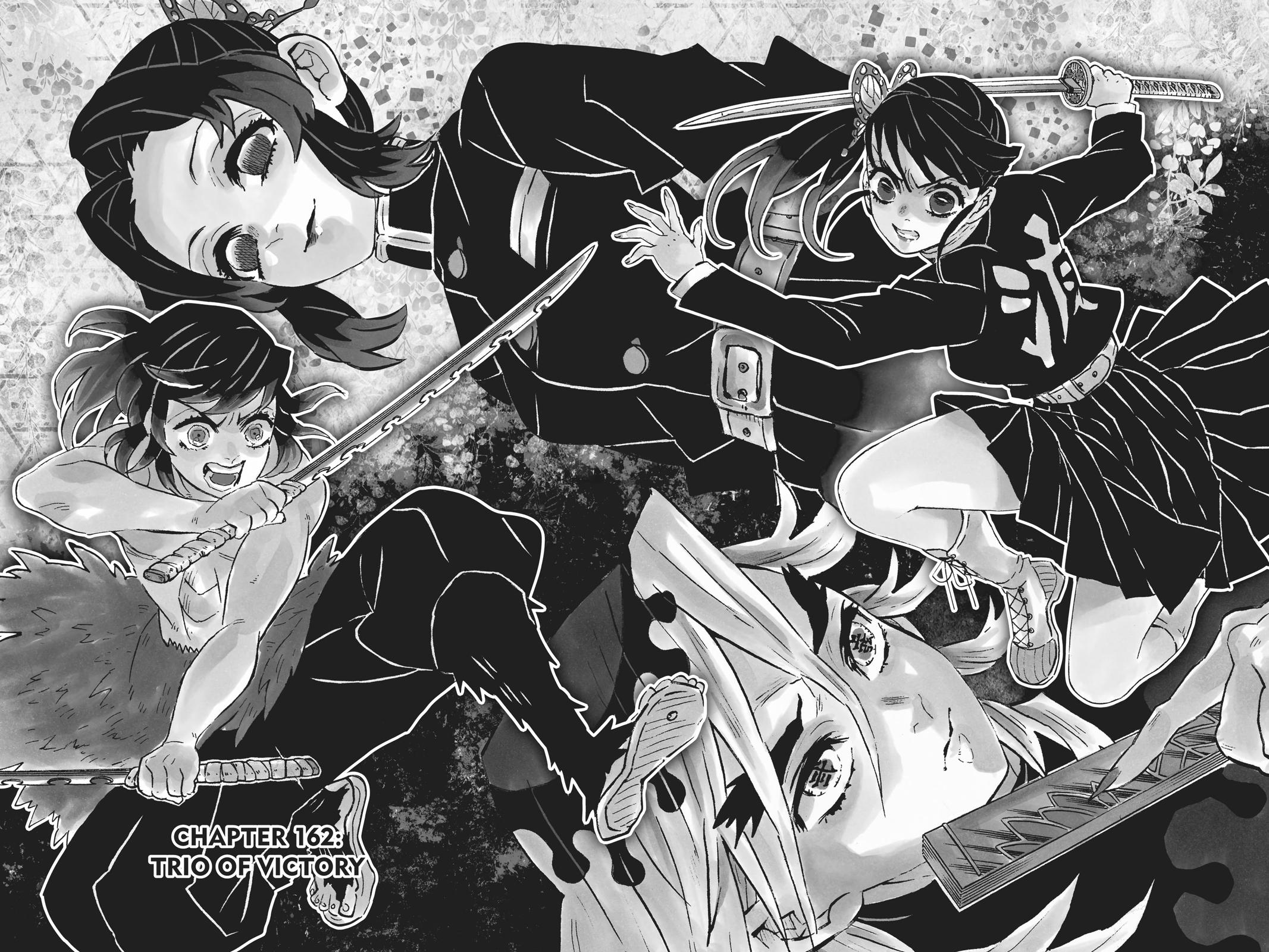 Demon Slayer: Kimetsu no Yaiba Chapter 162 Page 2