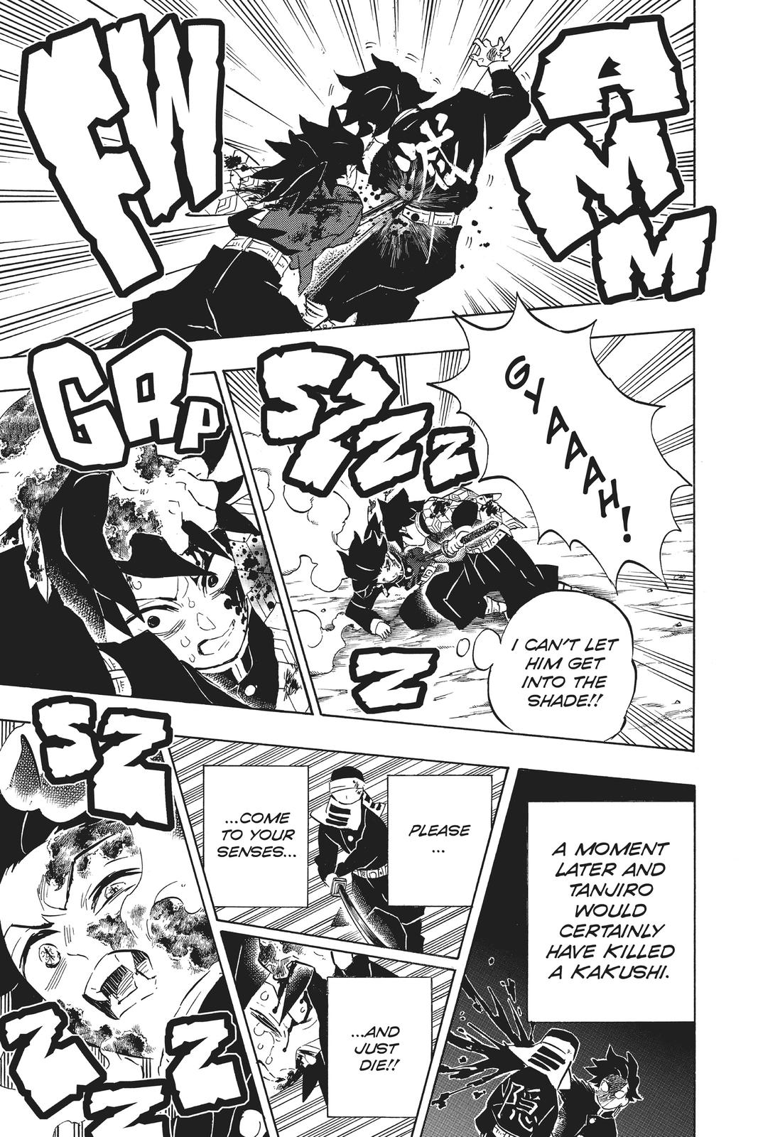 Demon Slayer: Kimetsu no Yaiba Chapter 201 Page 13