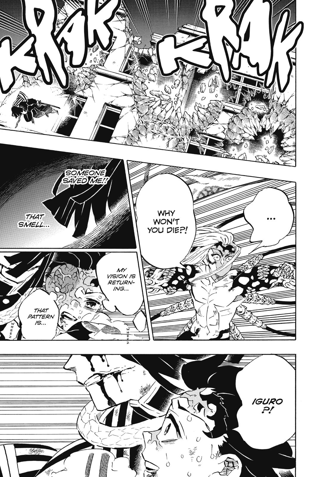Demon Slayer: Kimetsu no Yaiba Chapter 194 Page 9