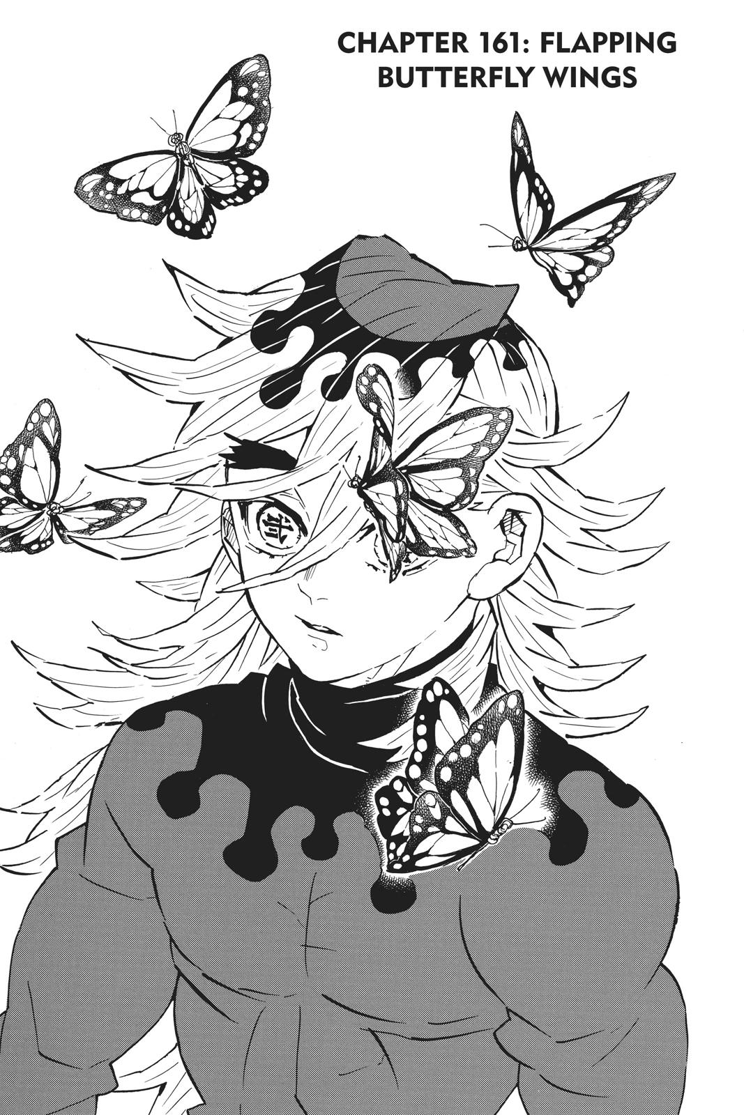 Demon Slayer: Kimetsu no Yaiba Chapter 161 Page 7