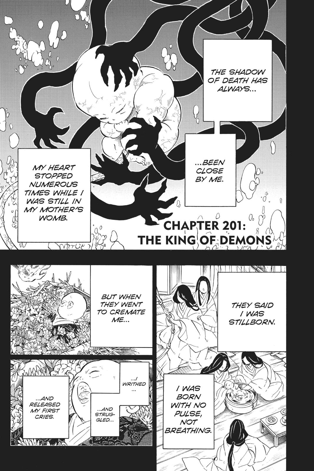 Demon Slayer: Kimetsu no Yaiba Chapter 201 Page 1
