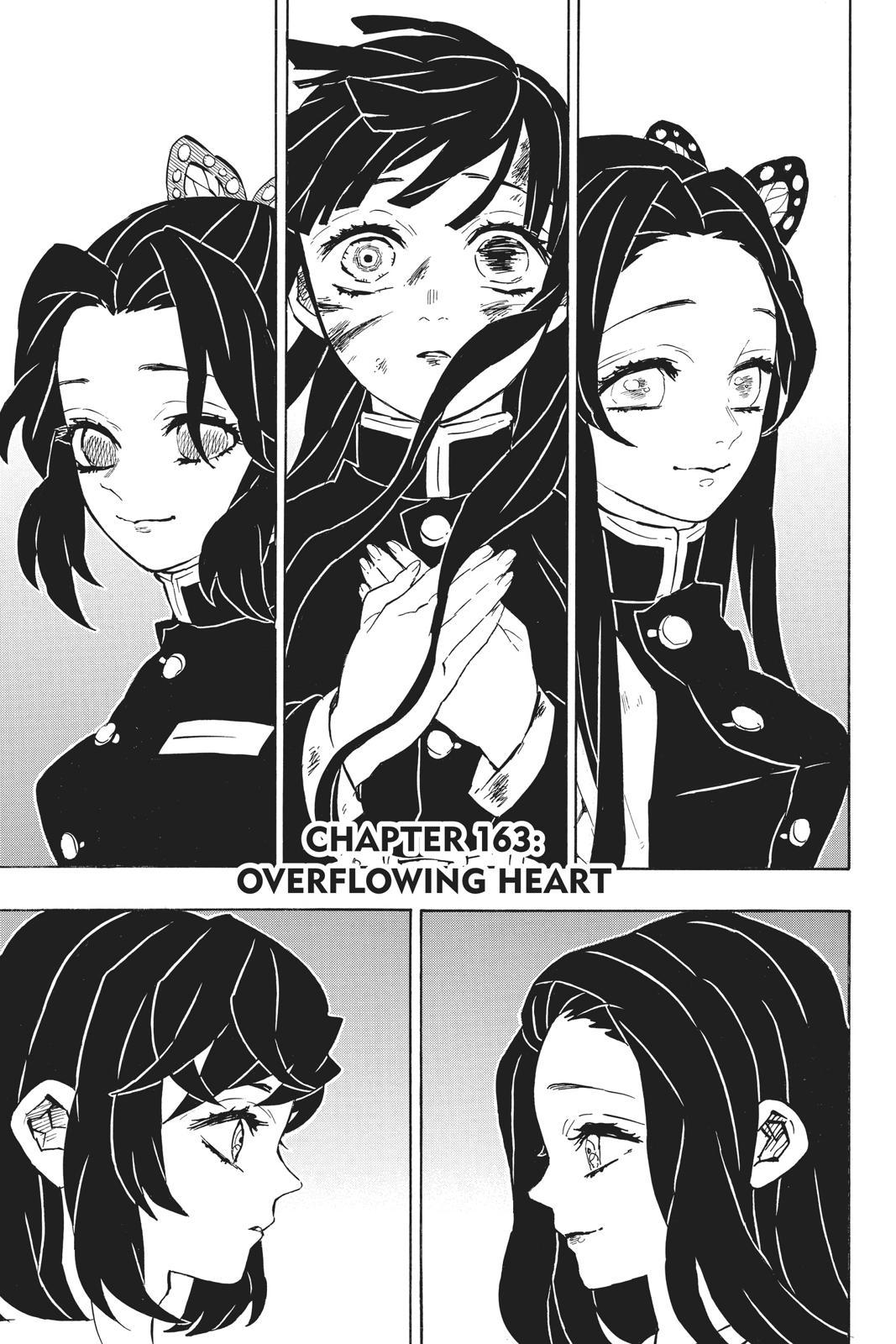 Demon Slayer: Kimetsu no Yaiba Chapter 163 Page 1