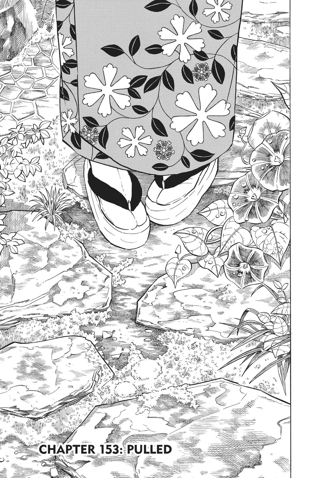 Demon Slayer: Kimetsu no Yaiba Chapter 153 Page 1