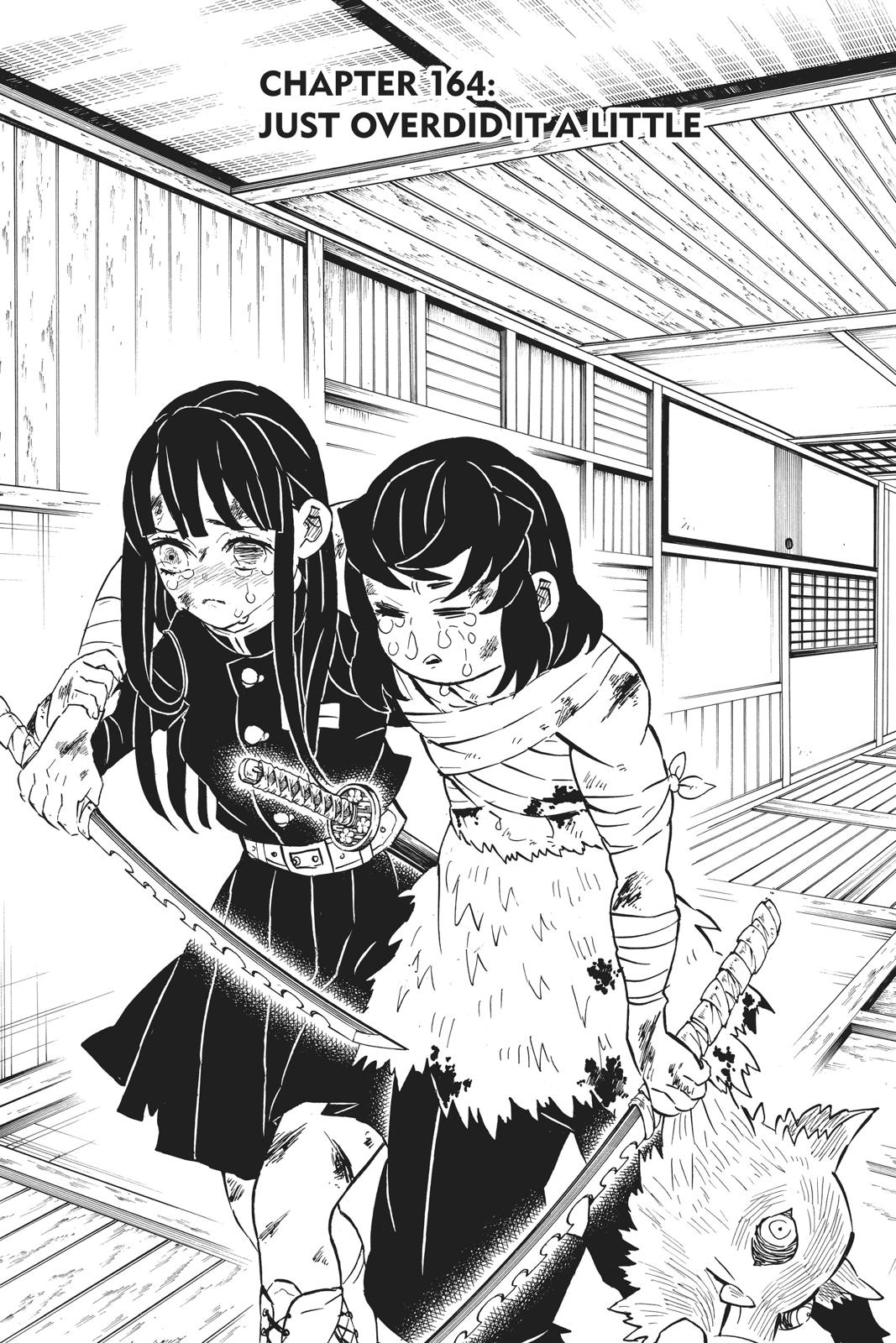 Demon Slayer: Kimetsu no Yaiba Chapter 164 Page 1